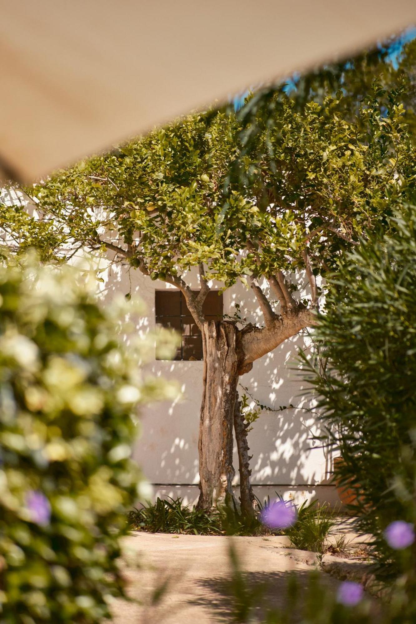 The Guardian House Hotel Santa Gertrudis  Kültér fotó