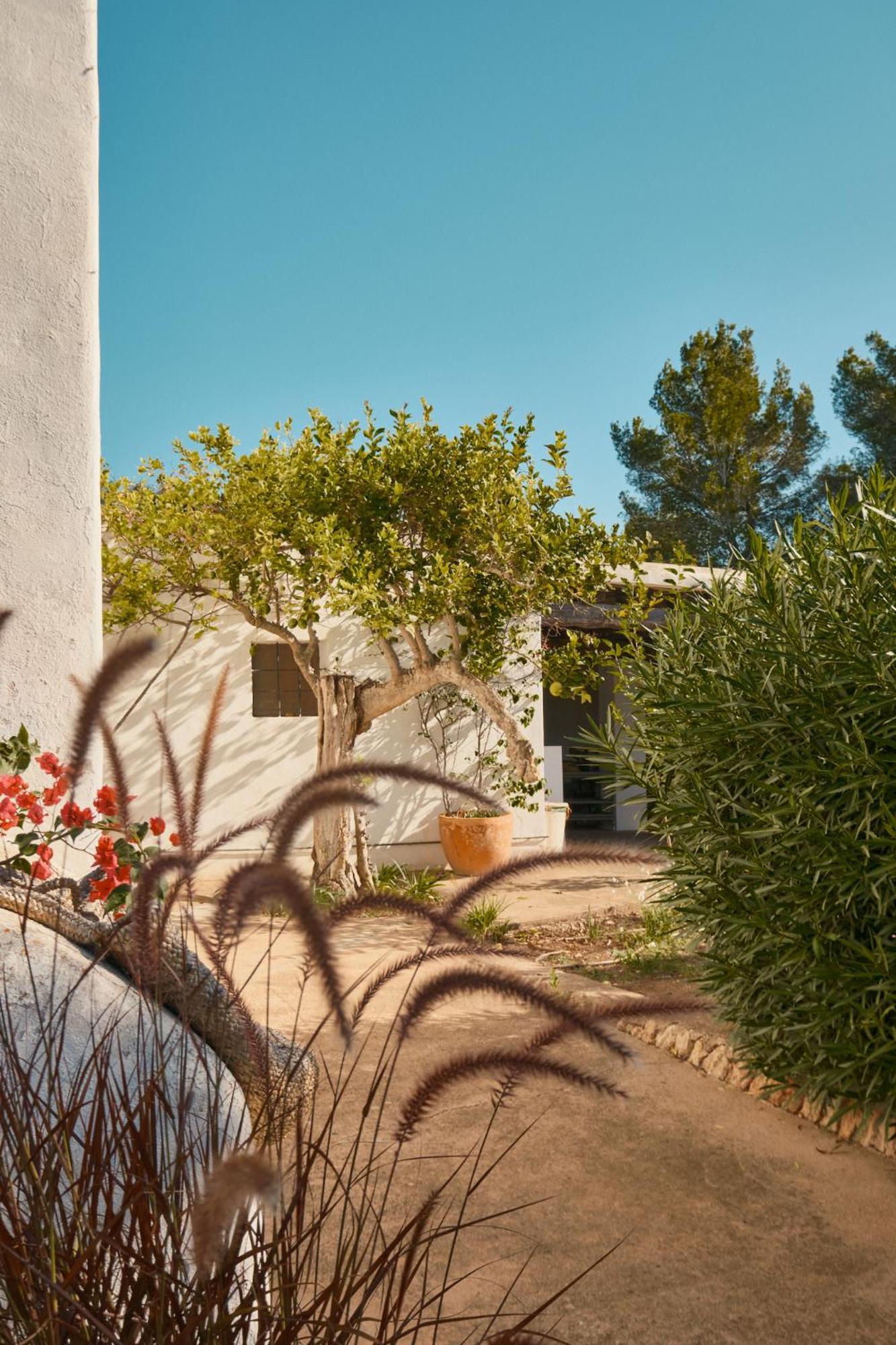 The Guardian House Hotel Santa Gertrudis  Kültér fotó